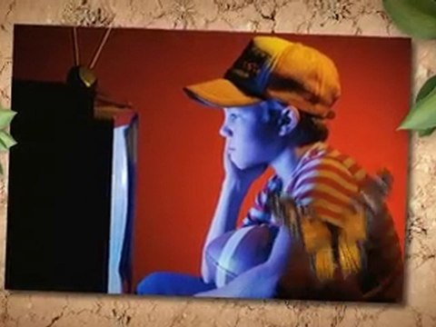 PetSafe Outdoor Bark Deterrent