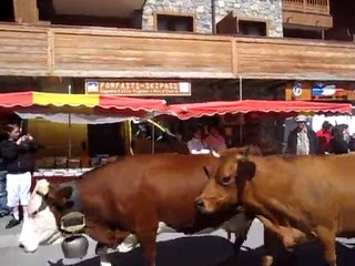 Tignes-les-Vaches
