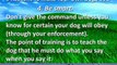 Six Simple Steps For Dog Training: Train Your Dog Well