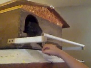 Mon petit "Marius" ne veux pas que l'on touche à sa maison !