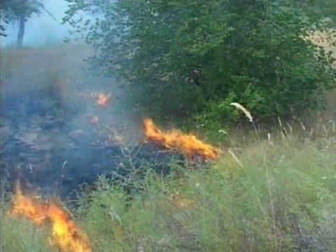 Russia in losing battle against spreading wildfires