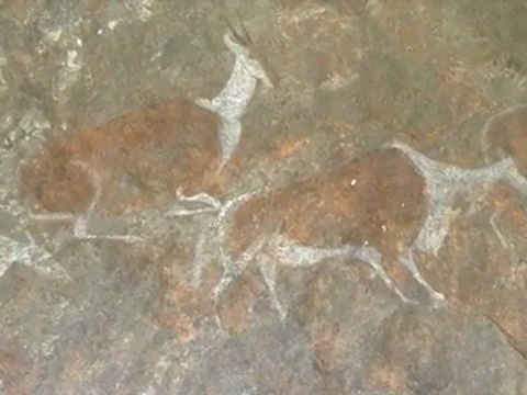 Peintures Rupestres - Animation par morphing