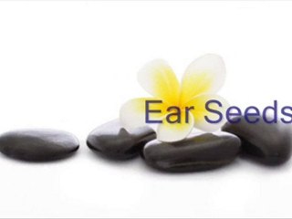 Holistic Medicine and Natural Healing NJ