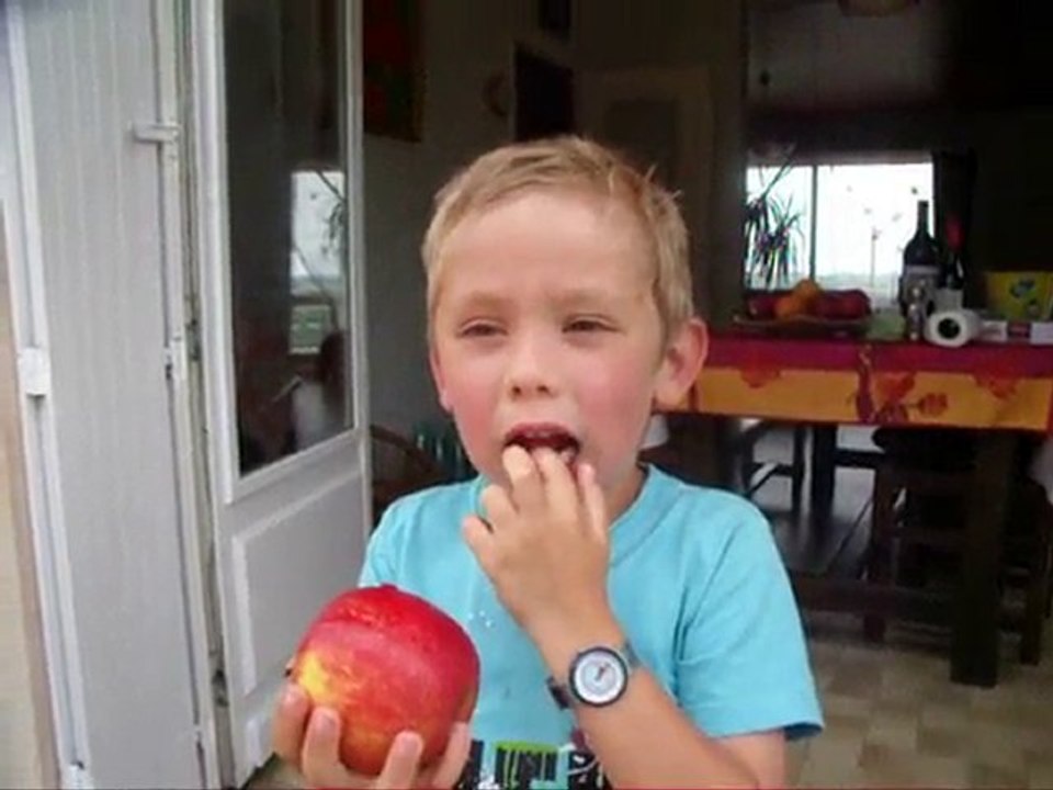 dent 2