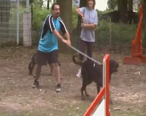 Initiation au test de caractére