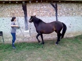 V050810_20.14_[02].3gp
