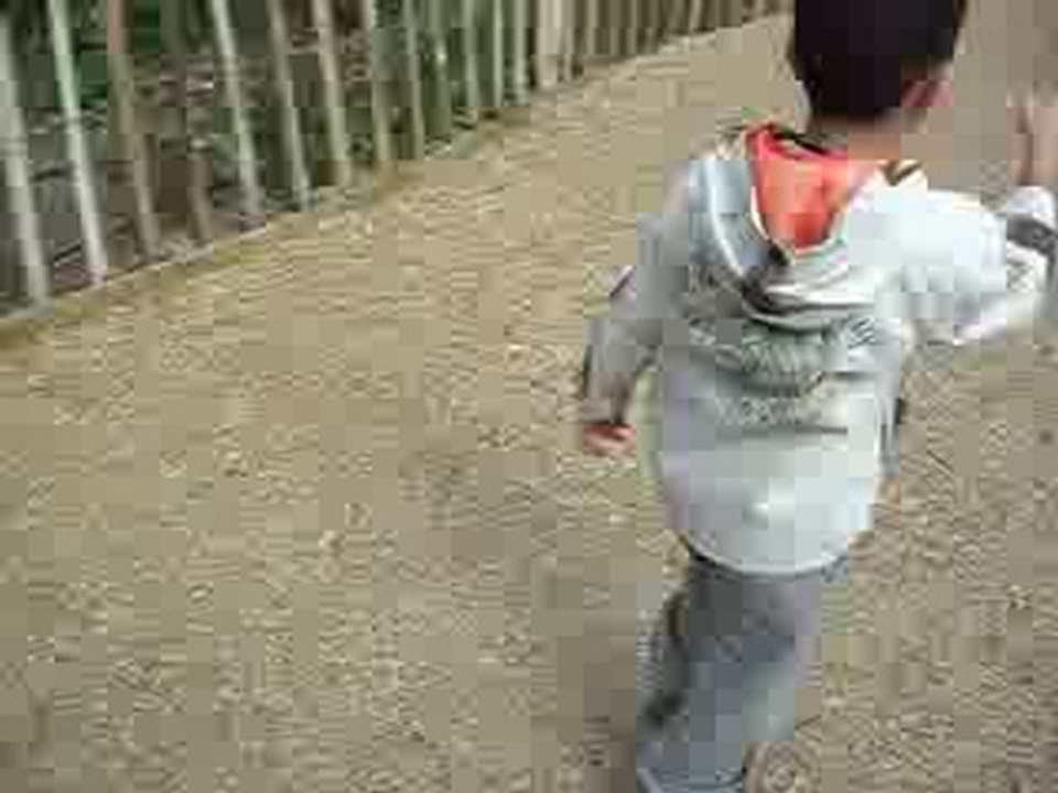 PONT 7