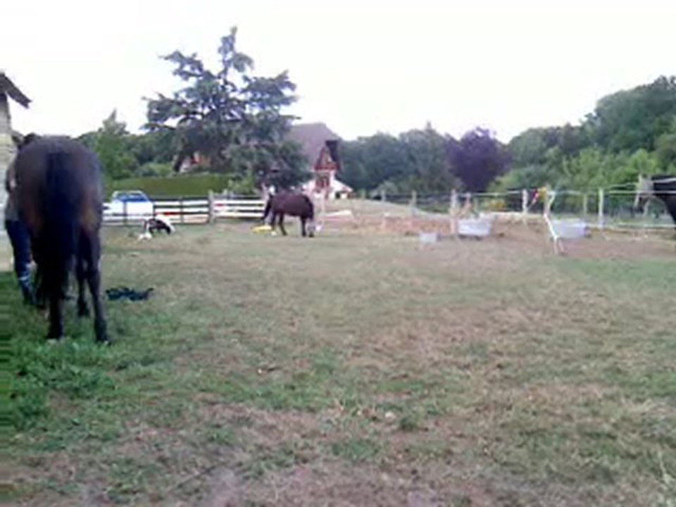 V050810_20.05.3gp