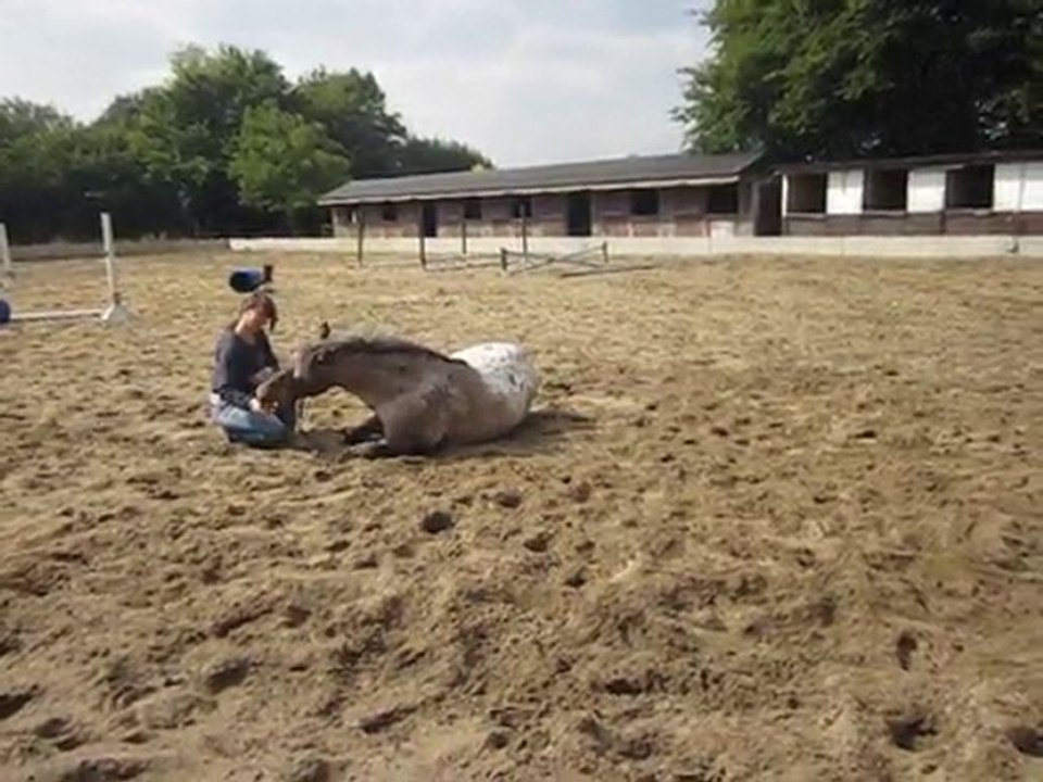 Sucette se couche sur demande (7)