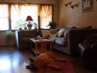 Homes for Sale - 2154 W Erie St - Chicago, IL 60612 - Coldwe