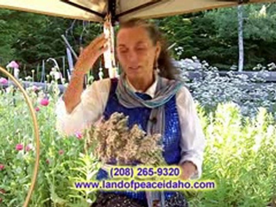 Organic Healing oil - Valerian oil for body and skin