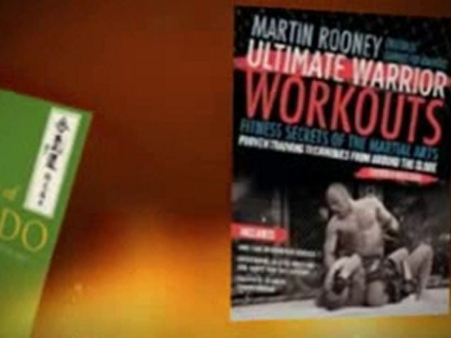 www.BudoVideos.com MMA Events