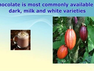 Best Gourmet Belgian Chocolates