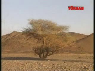 Hac Nasıl Yapılır