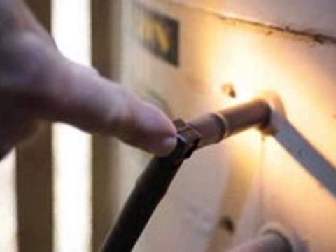 Pest Control Holland Park All Bugs Termite Management ...