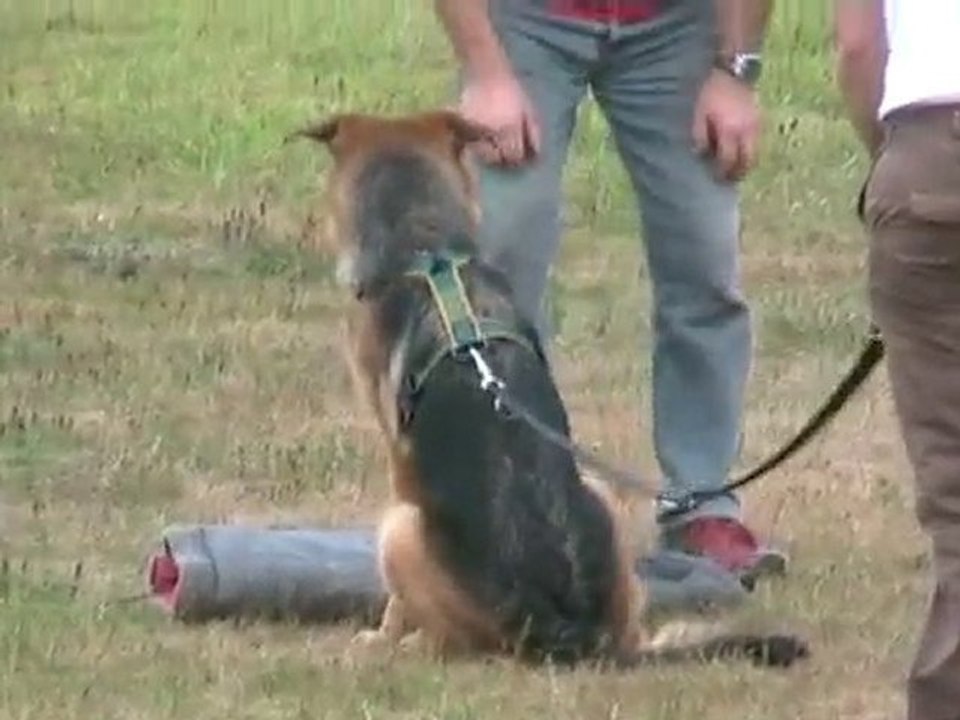 Captured_file_002_PC