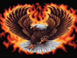 ali küpçü benim kitabımda insan satılmaz