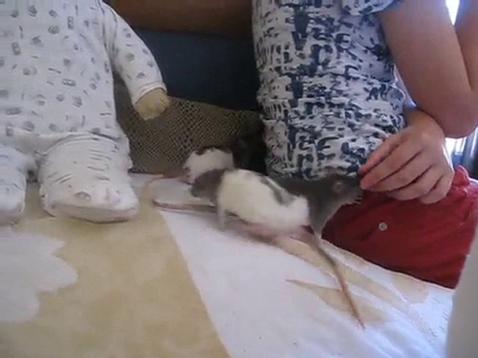 les petits loulous d'Agnès...