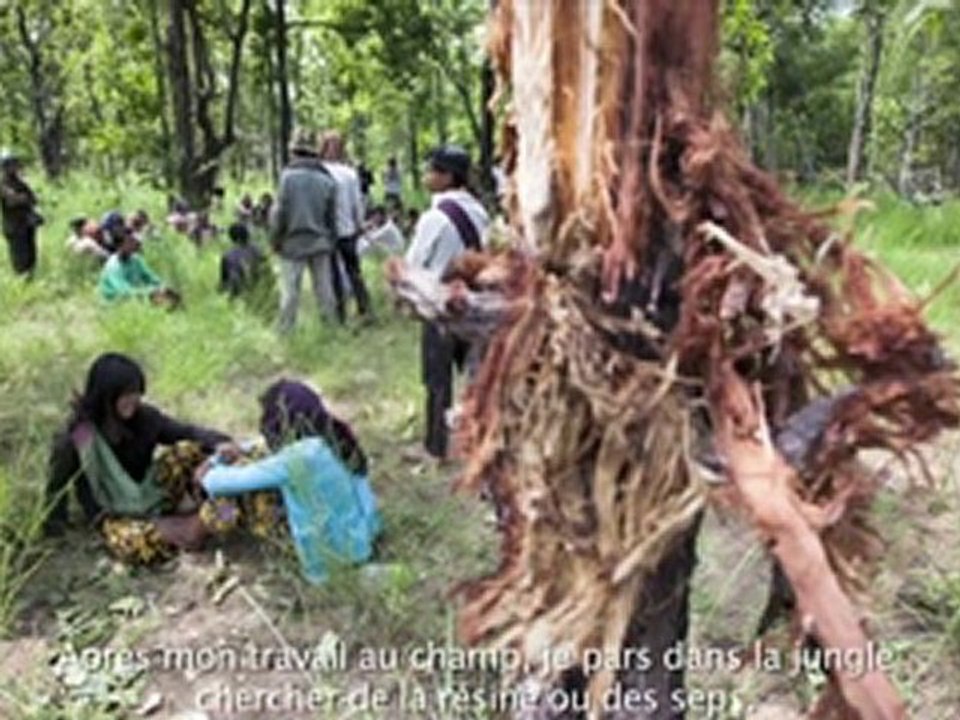 Une minorité appelle à l’aide