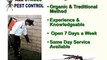 Control Mouse Pest Control Mouse Pests