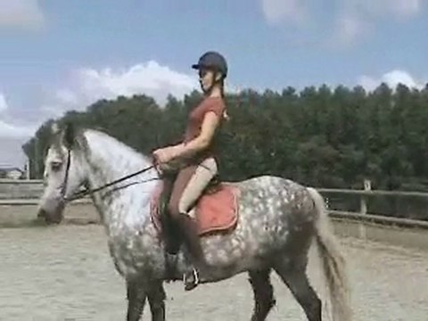 marieke seance 1 jour1