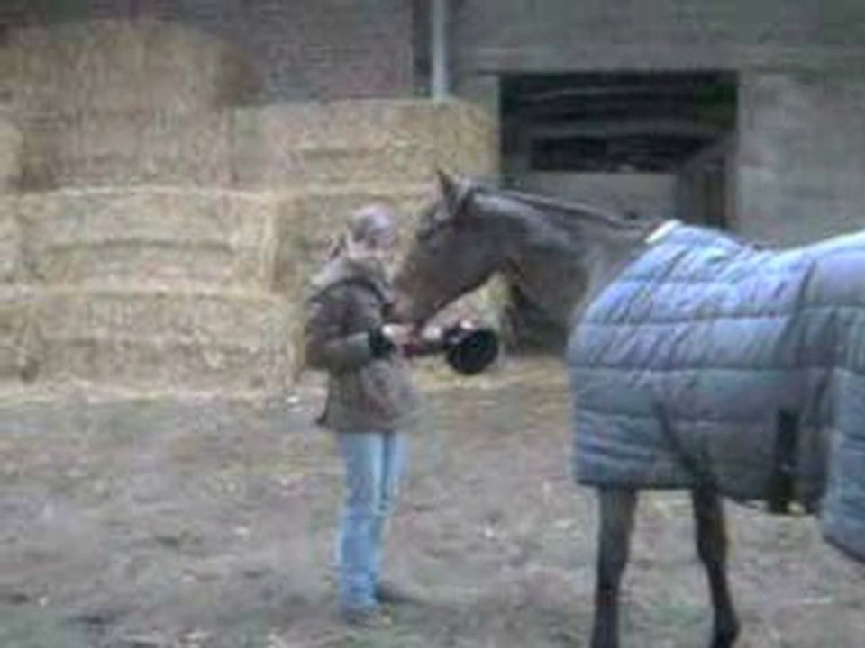 Mara apporte le chapeau =)