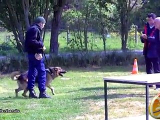 VAE conducteur canin guards formation