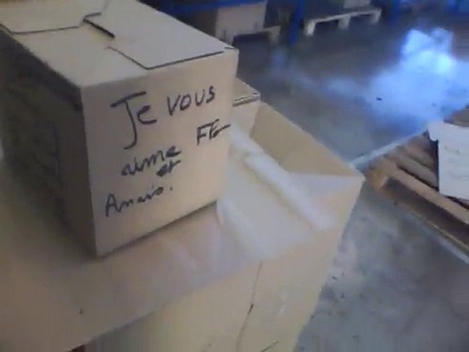 la maison en carton