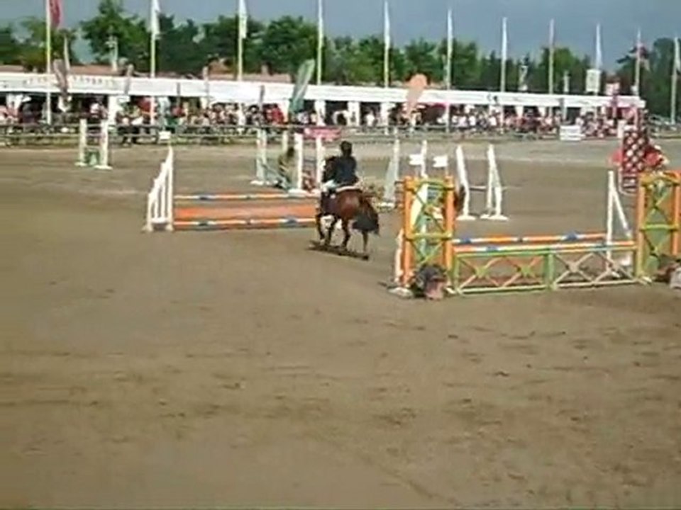 Lamotte-Beuvron 2010