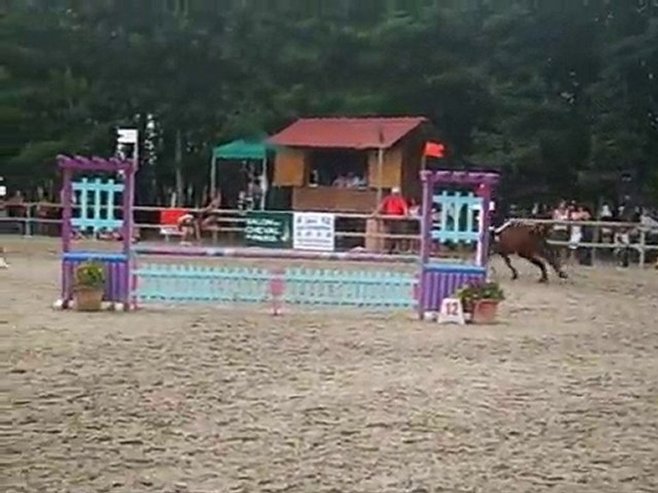 Lamotte Beuvron 2010