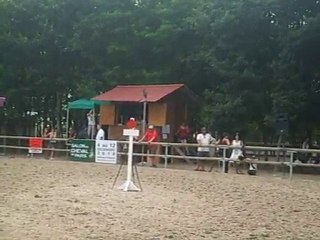 Lamotte beuvron 2010