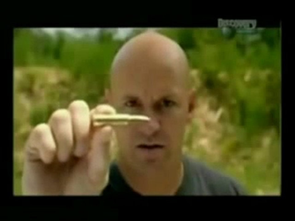 Future Weapons 5.56 mm,6.8 mm Remington SPC,6.5 mm Grendel