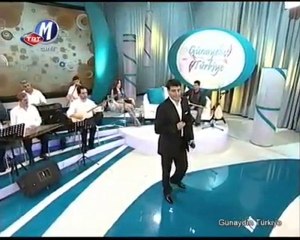 Ali İbicek-Bir Tel Çektim Mardinden