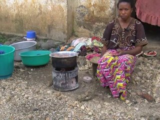 RDC : remplacer le charbon par la biomasse pour sauver la forêt