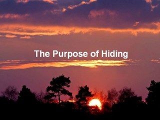 The Purpose of Hiding