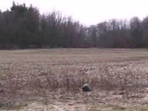 Homes for Sale - 36 SHidden Valley Trl - Niles, MI 49120 - C