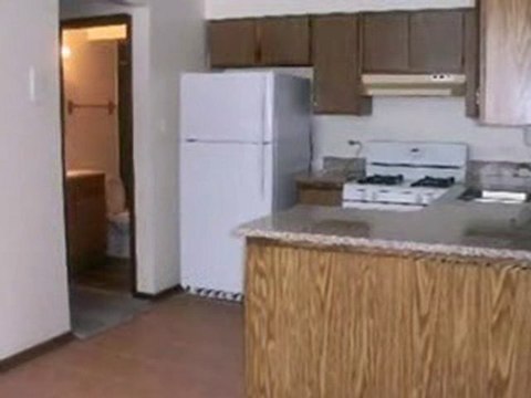 Homes for Sale - 4501 Sunnyside Ave Apt 1N - Brookfield, IL