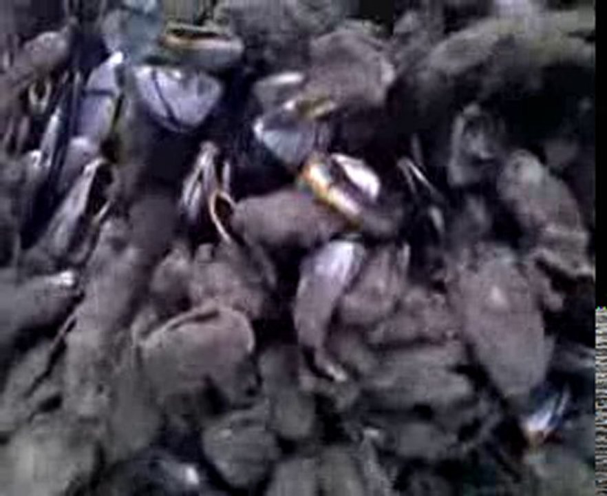 Video_001