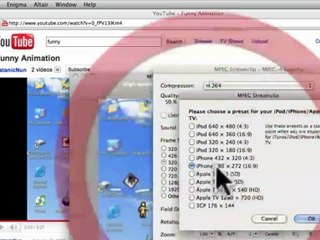 Convert Video Files even WMV with FREE video Convertervideo