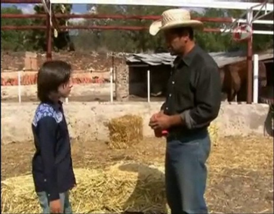 STD - cap. 80 (parte 3/4)