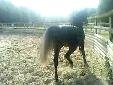 Eh oui Monsieur se défoule ^^