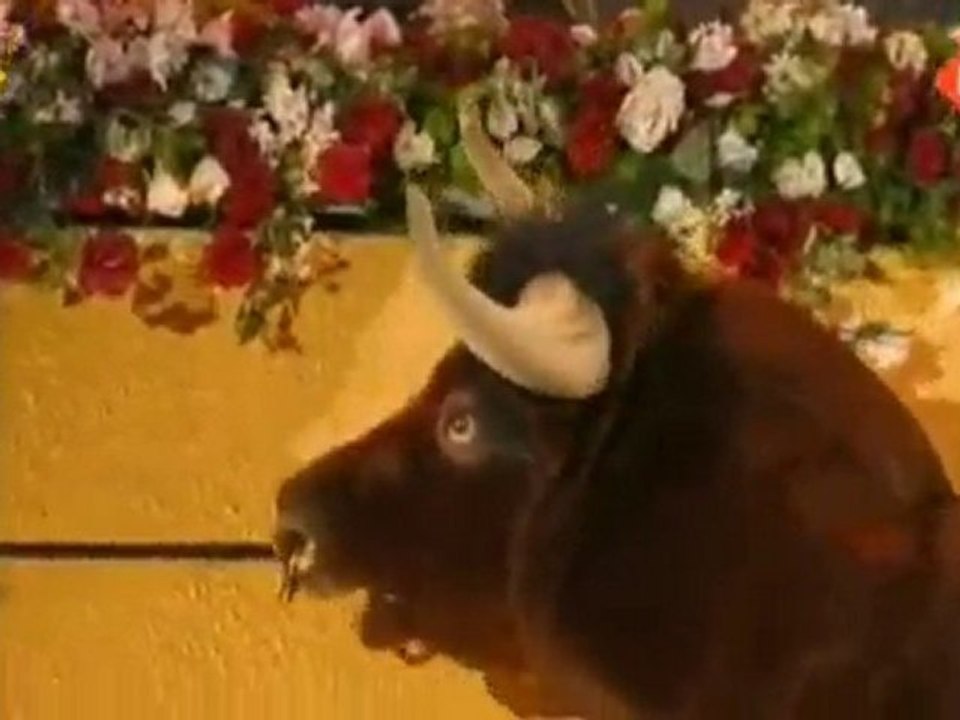 André Rieu - Espana Cani (Amsterdam Arena 2009)