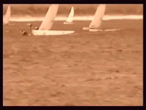 BEACH CATS- SAILING REGATTA F18's,Hobie,Tornado and more.