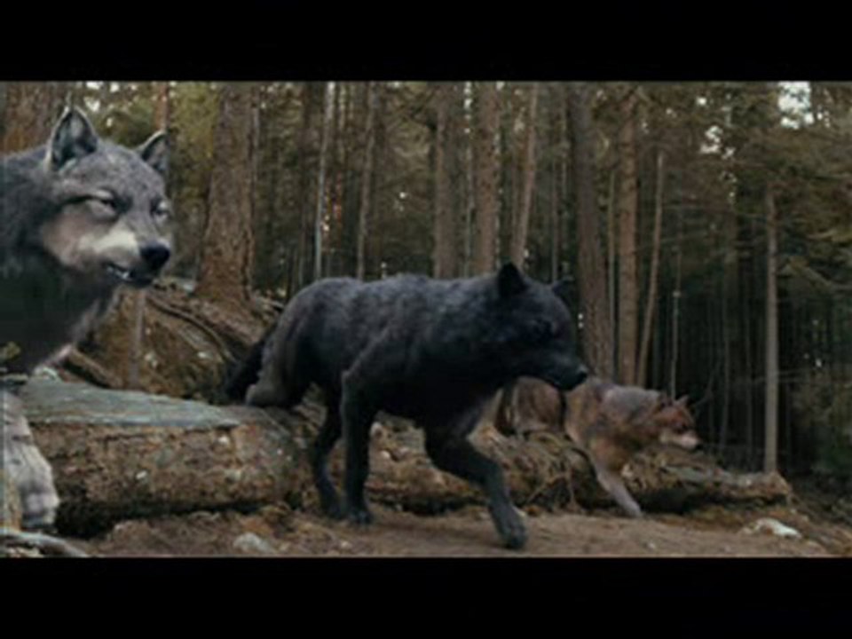 Twilight Saga Eclipse part 1 of 8