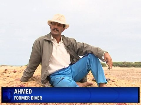 Moroccan red algae: an endangered treasure