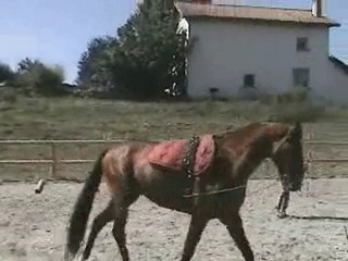 marieke vistoso seance longe3 jours 5