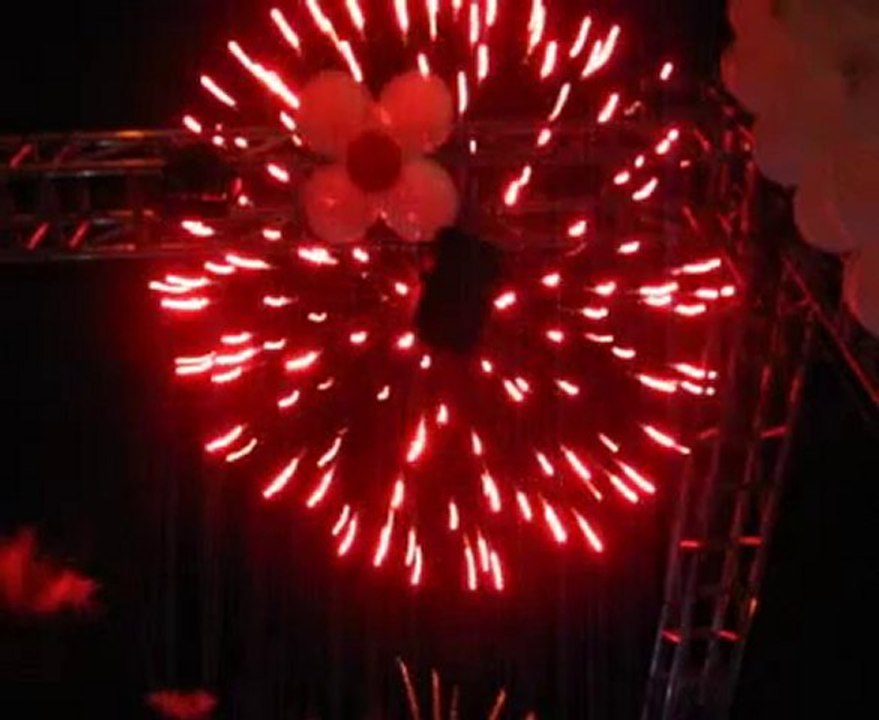 Havai Fişek Gösterisi 2010