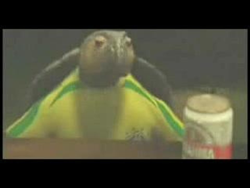 Pub beer biere animation