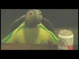 Pub beer biere animation
