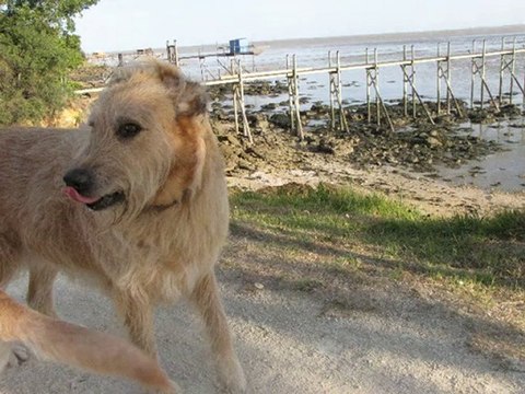 balade fourasine 5 août 2010